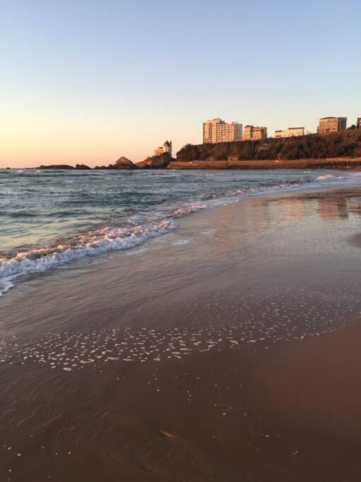Appartement Cote Des Basques Biarritz Eksteriør bilde