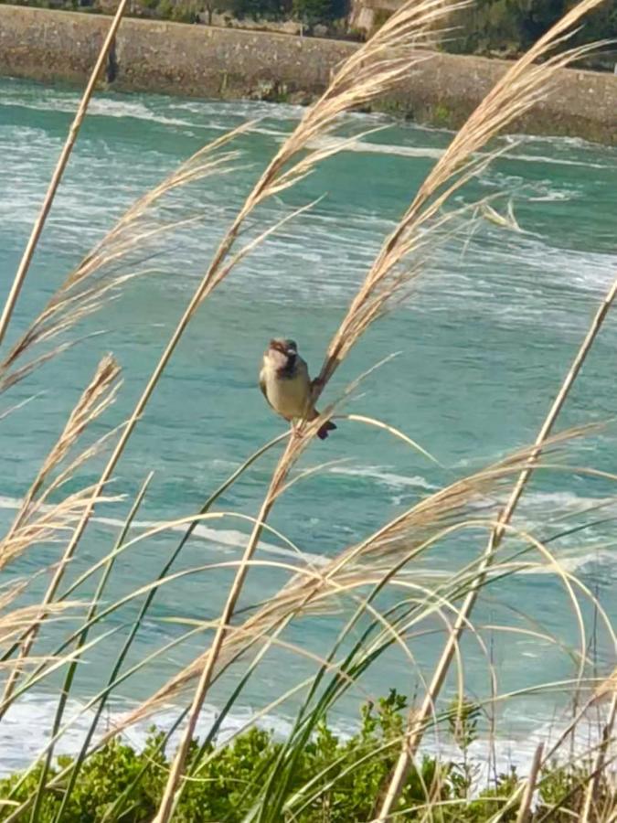 Appartement Cote Des Basques Biarritz Eksteriør bilde